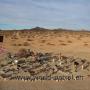Huski Memorial mitten in der Wüste